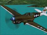 CFS2
            P-40N 7th Fighter Squadron of the 49th Fighter Group.